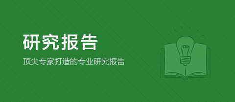 研究报告